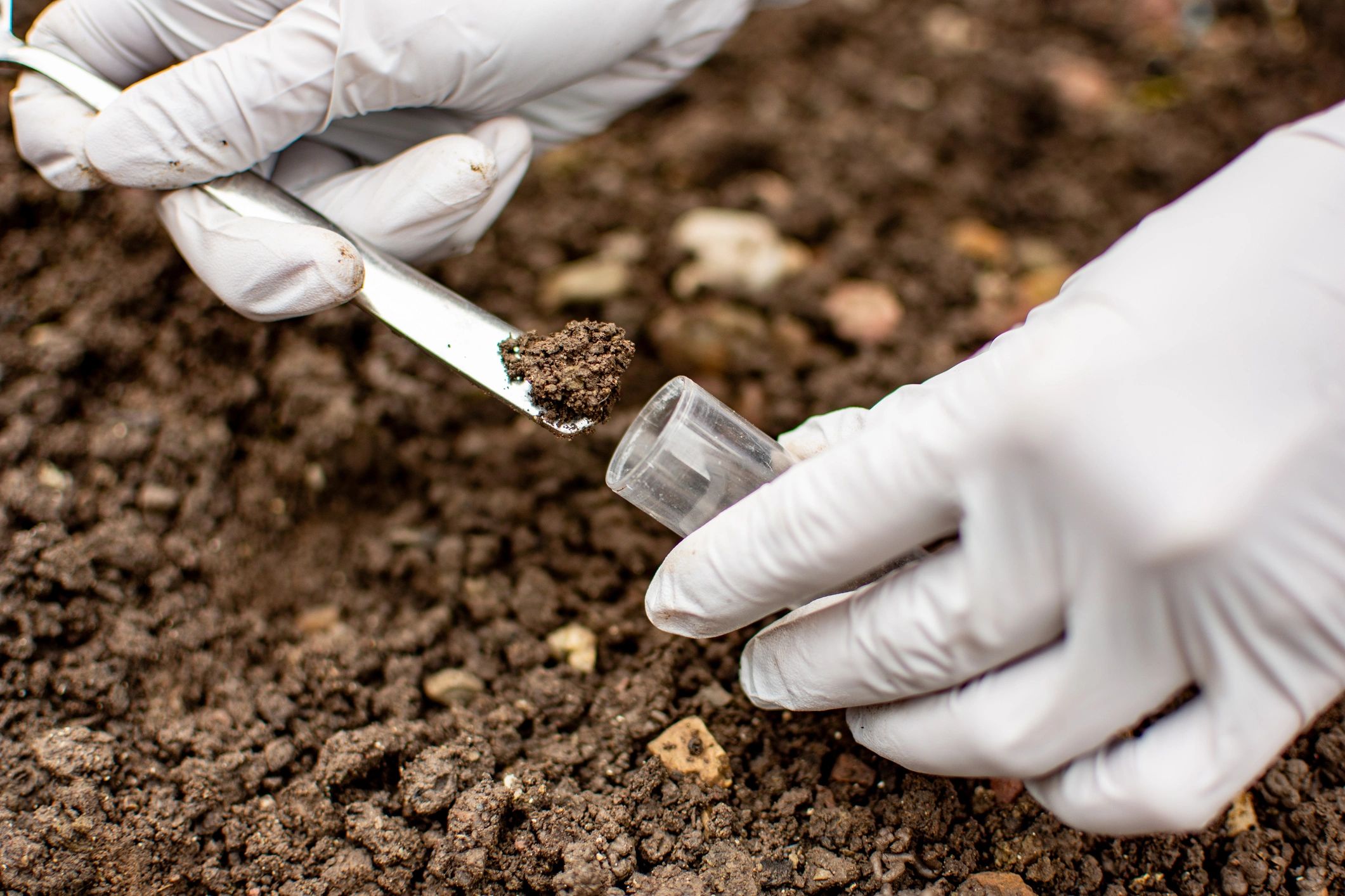 Technician collecting a soil sample in a test tube